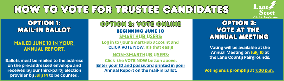 How to Vote