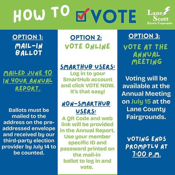 Ways to Vote