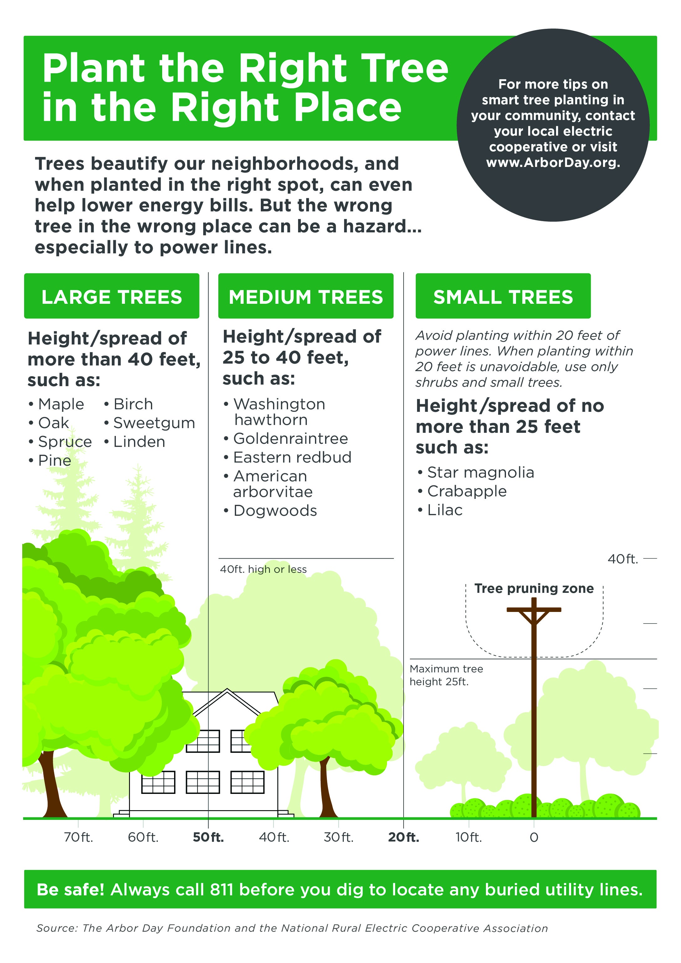 Tree Planting Safety