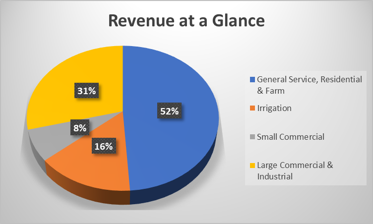 Revenue%20at%20a%20Glance.png